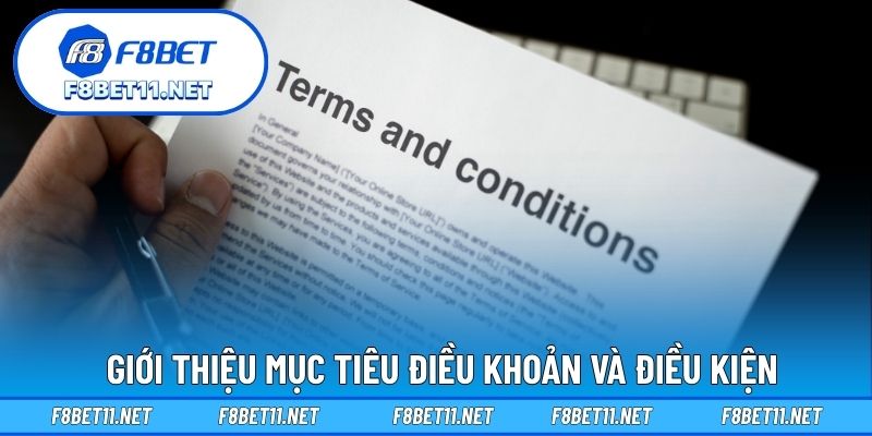 Điều Khoản Và Điều Kiện 1 Giới thiệu mục tiêu điều khoản và điều kiện