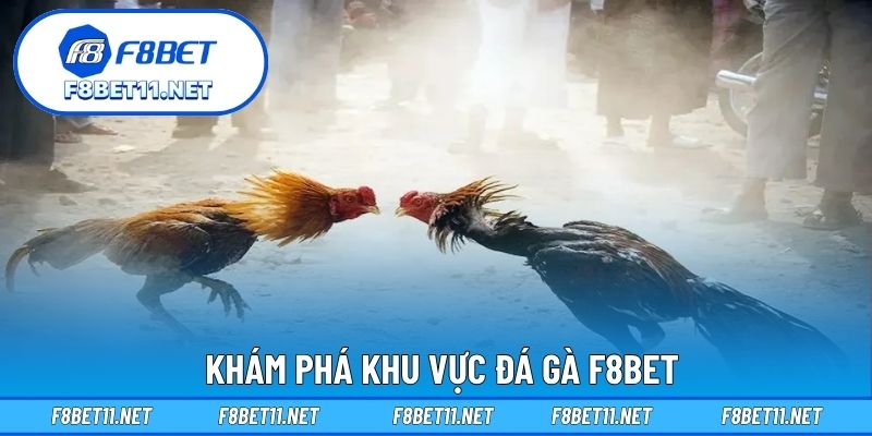 Khám phá khu vực đá gà F8BET