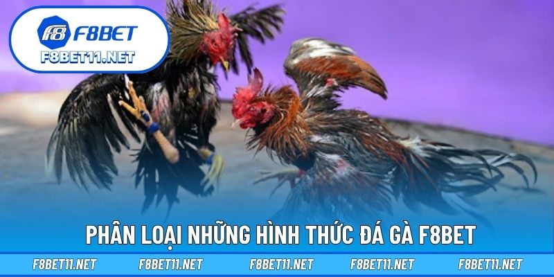 Phân loại những hình thức đá gà F8BET
