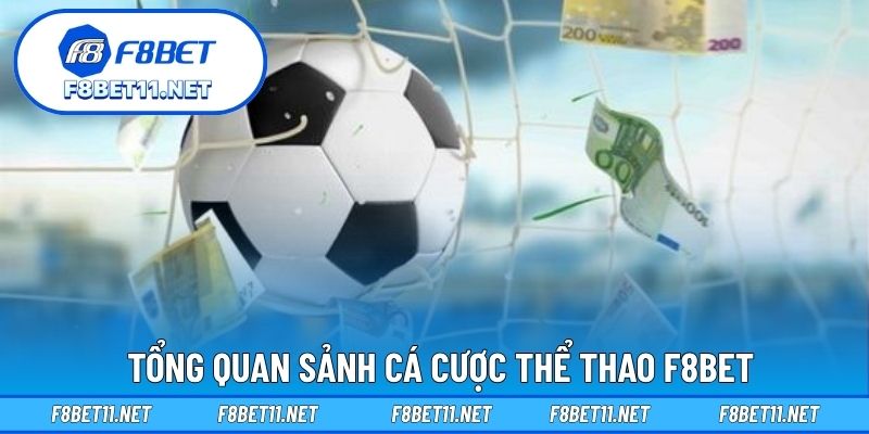 Thể Thao F8BET 1 Tổng quan sảnh cá cược thể thao F8BET